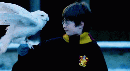 Hedwig from Harry potter. Animal companion in books.